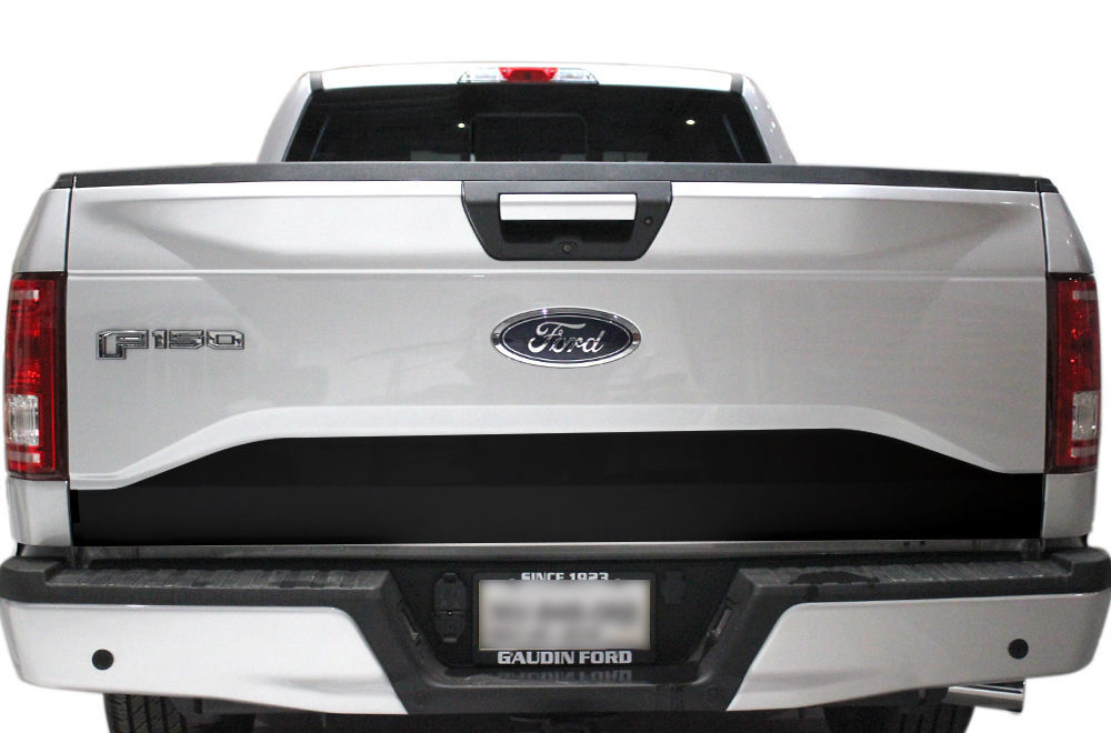 Custom Vinyl Wrap Kit for 201517 Ford F150 Truck LOWER TAILGATE Decal