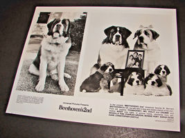 1993 BEETHOVEN&#39;S 2ND Movie Press Photo St. Bernhard Dogs puppies - $7.95