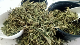 Whole Stevia Leaf,Stevia Rebaudiana Herbs from Sanaa Zesty - $0.99+