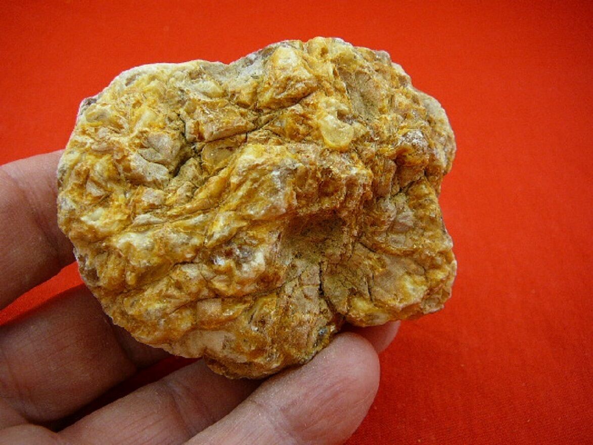 (k2639) 70 g Rare Kauri tree Gum copal young Amber New Zealand Tane