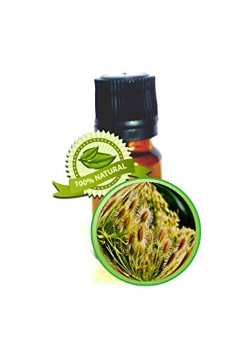 Carrot Seed Essential Oil - 5ml (1/6oz)- Daucus Carrota -40% High Caratol