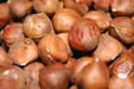 Hazelnuts (Filberts) Raw Unsalted, 2LBS - $33.51