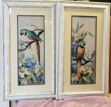 2 Framed Wall Art Prints Tropical Blue Yellow Parrots Macaws Day Lilies ... - $148.50