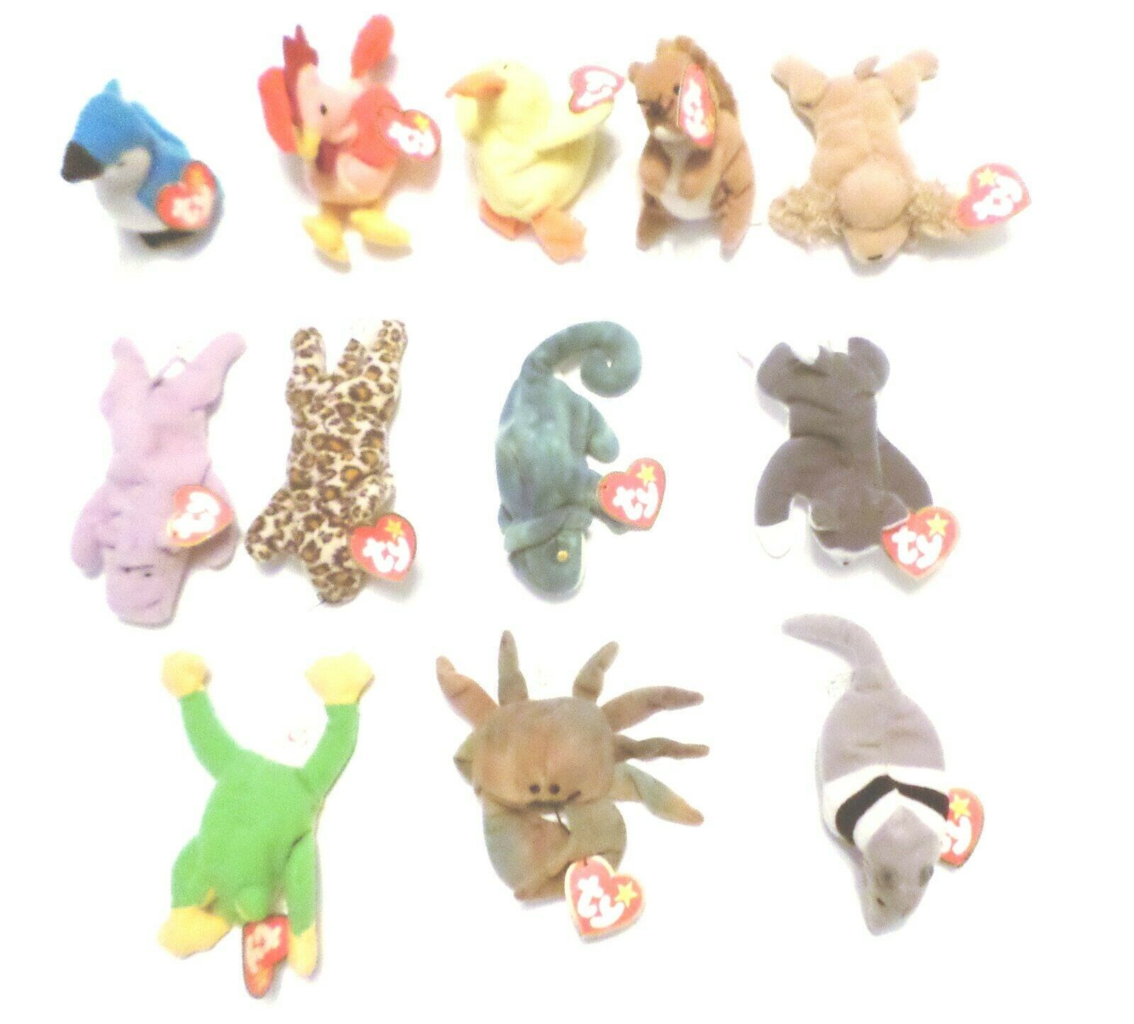 NEW MWMT 6 Inch SNICKY the Brown /& White Dog Ty Beanie Baby