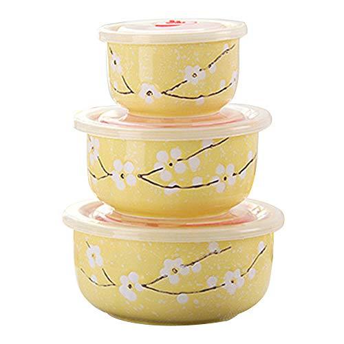 Japanese Ceramics Bowls Set of 3 with Lids Japanese Ceramic Food