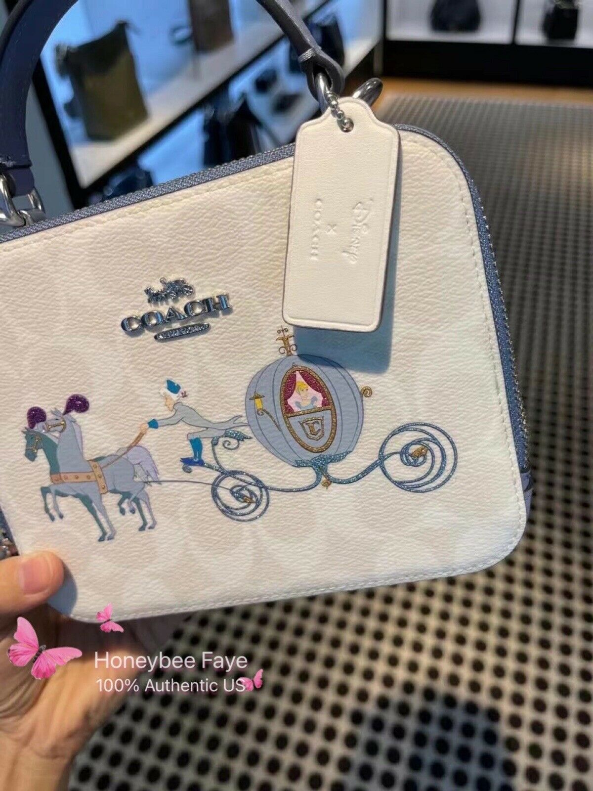 coach cinderella tote