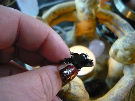 Paranormal Powerful Male Djinn Witch Own Ring Size 6.5 - $125.00