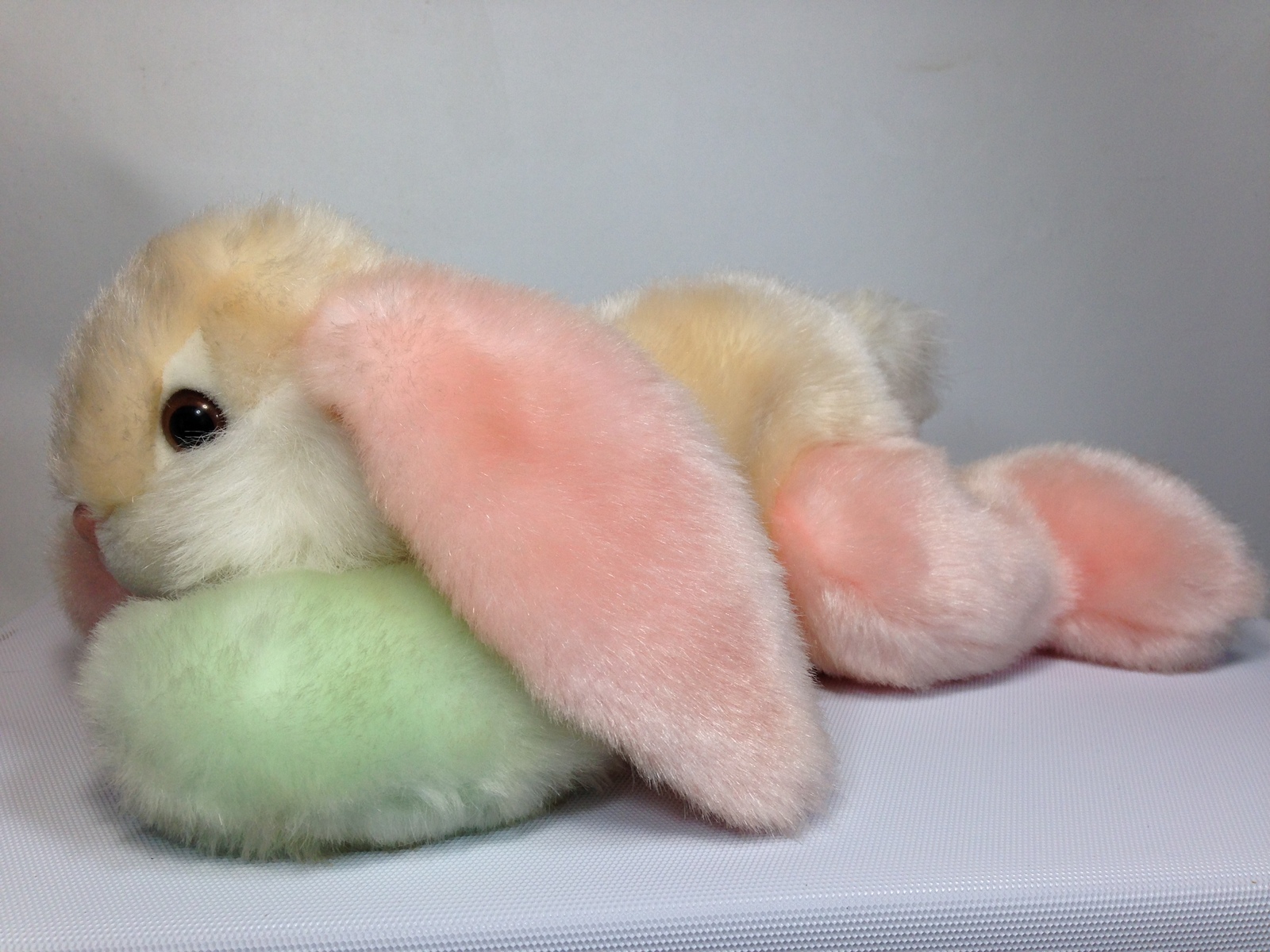 rainbow bunny teddy