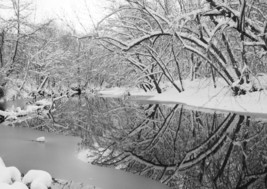 &quot;Christmas Eve on Jones Creek,&quot; an A. Rose Designs (tm) note card - $5.95+