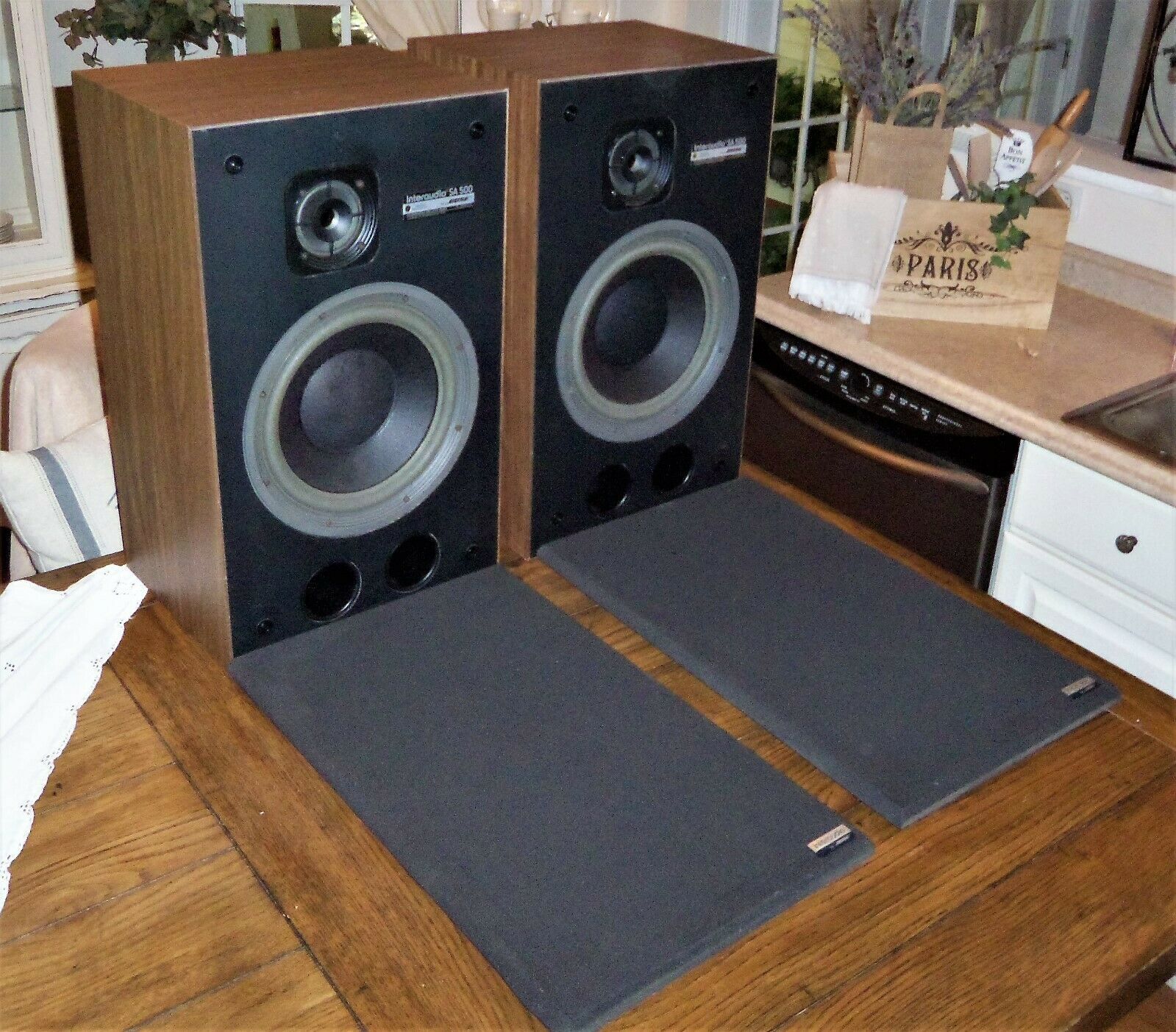 bose interaudio sa 500