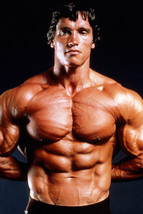 Arnold Schwarzenegger Barechested Muscleman Weight Lifting Pose 18x24 Po... - $23.99