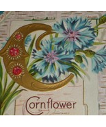 BARGAIN BIN Cornflower & Large Letter C The Language of Flowers Antique Postcard - $5.00