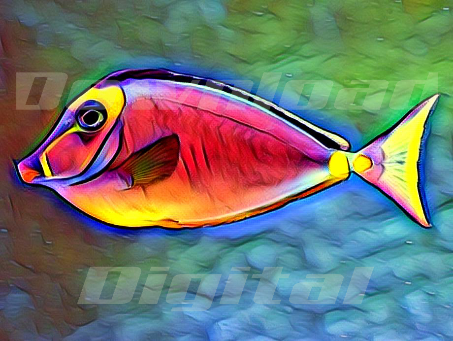 Digital download ocean sea fish colorful  beach Wallpaper Painting Watercolor