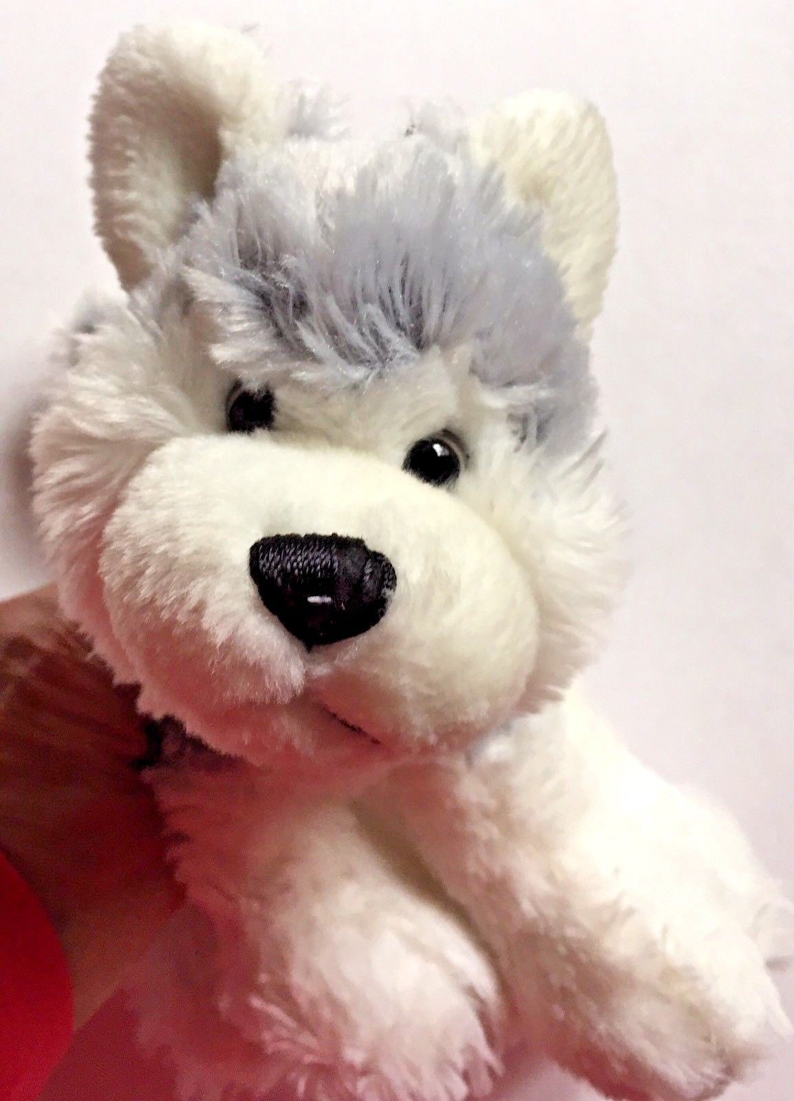 webkinz husky pup