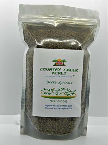 Beet Seed, Beets Sprouting Seeds, Microgreen, Sprouting, 15 OZ, Organic Seed, NO
