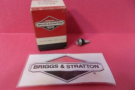 I2 Genuine Oem Briggs & Stratton Part # 490073 Air Cl EAN Er Screw - $5.69