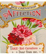 Red Carnation, Affection. the Language of Flowers Antique Greeting Postcard - $7.00