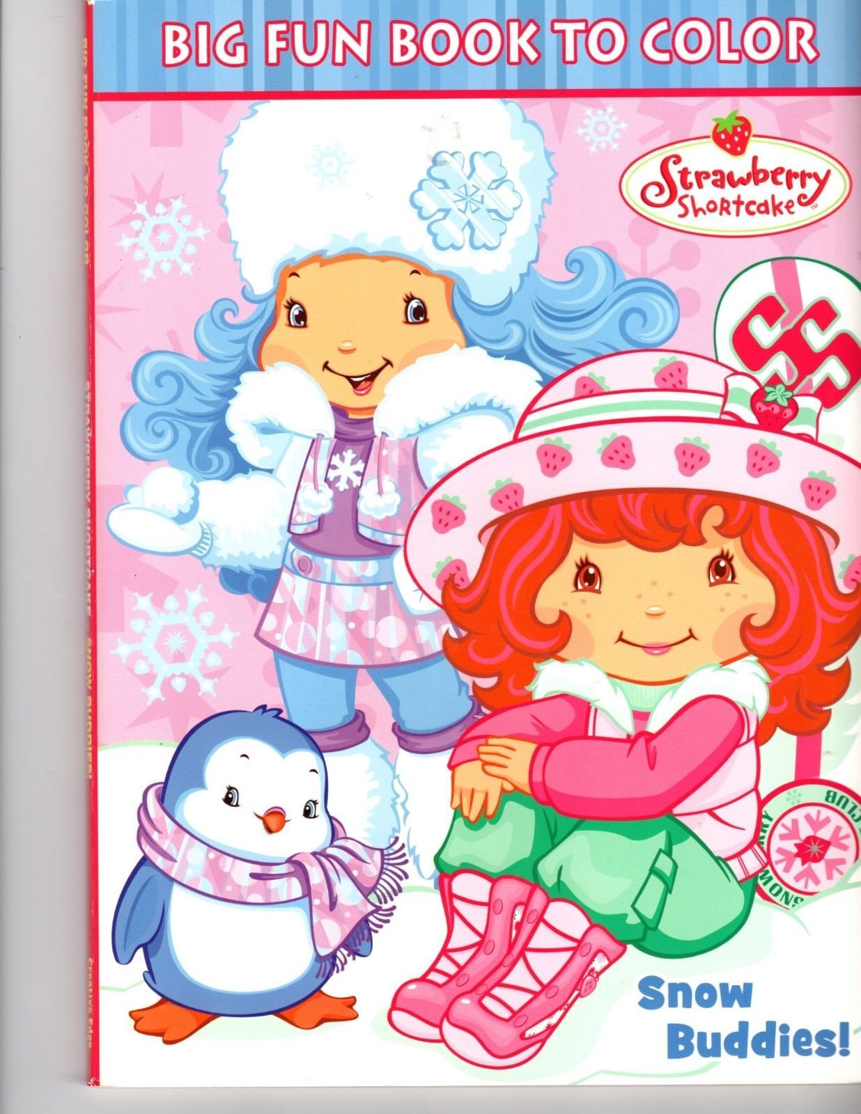 Strawberry Shortcake Big Fun Books to Color (2009 & 2012) 2Pack BRAND