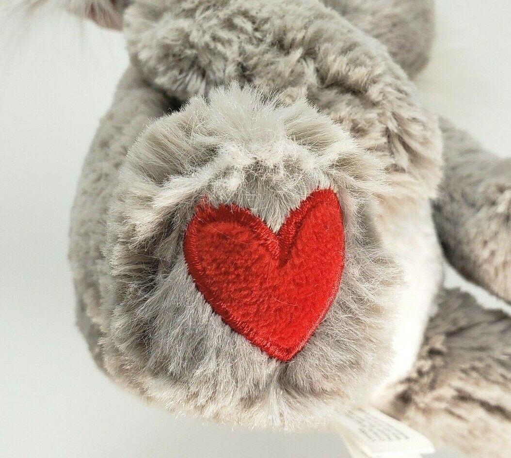 kuddle koala