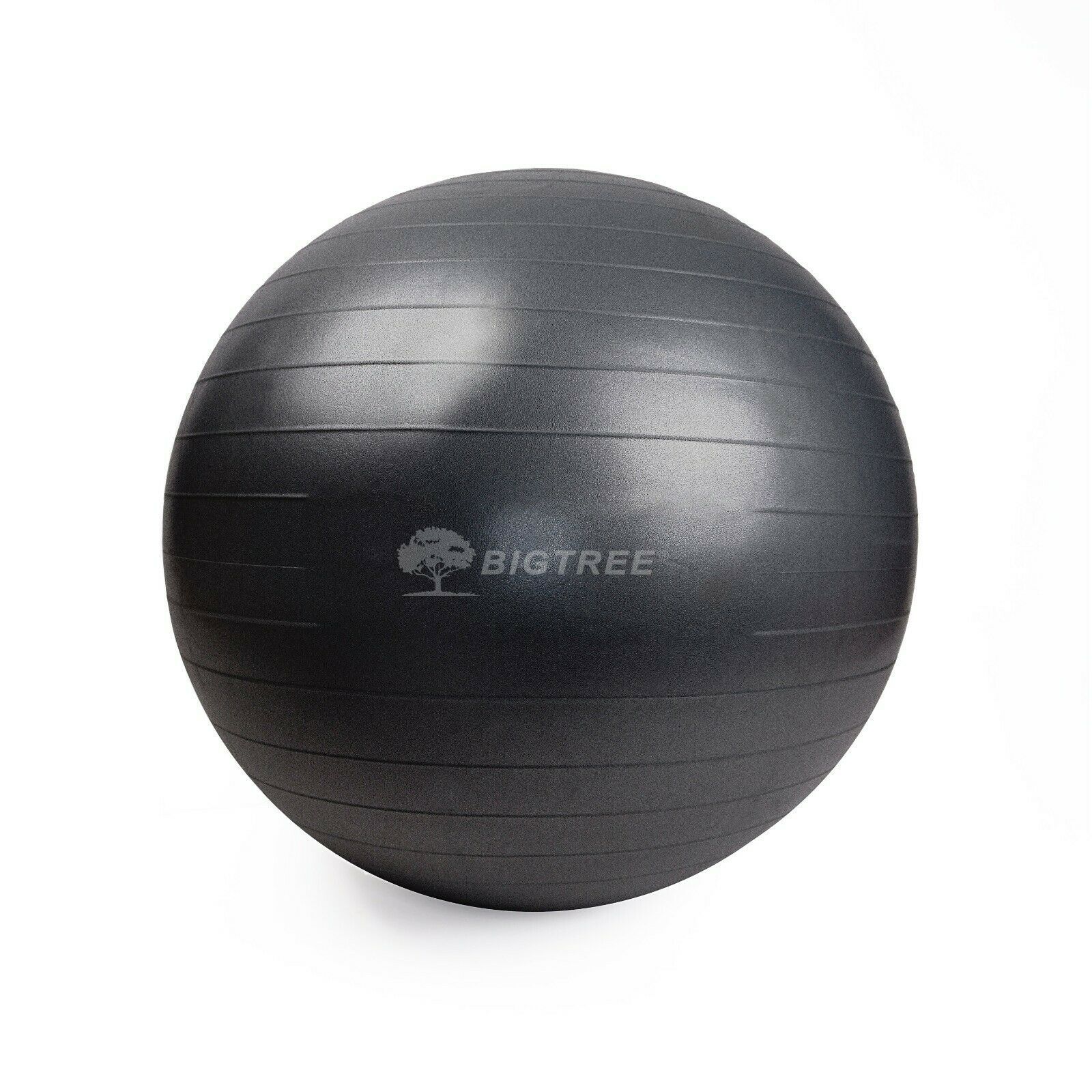 25.5″ (65 cm) Yoga Ball Exercise Core Stability Strength Anti-Burst Black