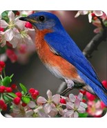 8 Inch Diameter Aluminum Sign Bird and Flowers in Tree - $16.61