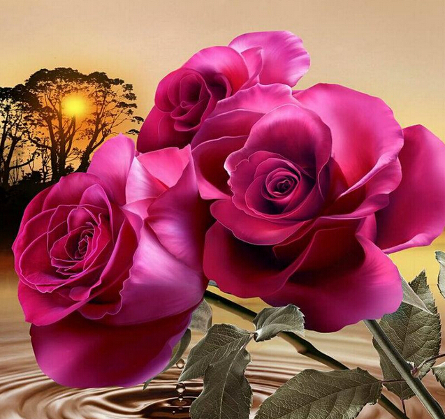 100 pcs Rare Holland Rainbow Rose Seeds Flower Home Garden in bonsai