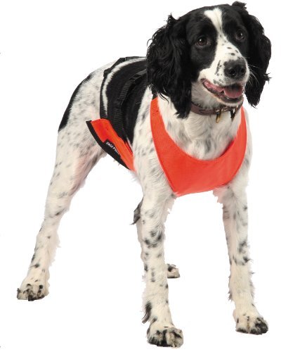 Mendota Pet Skid Plate Dog Chest Protector, Orange, Medium - Toys