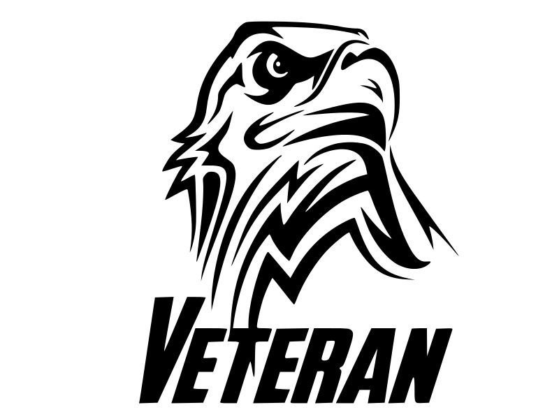 Veteran Eagle Patriot Vinyl Decal Car Wall Truck Sticker CHOOSE SIZE ...