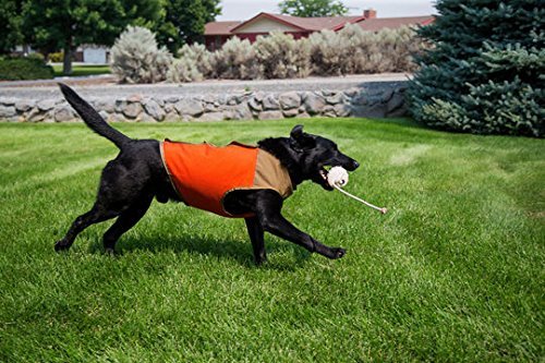 coyote vest for dogs coyote vest for dogs