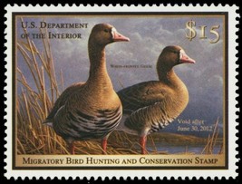 RW78, 2011 White-Fronted Geese Federal $15 Duck Stamp Mint NH - Stuart Katz - $44.95