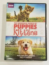 The Wonderful World of PUPPIES and KITTENS DVD BBC Cat Dog Pets NEW Firs... - $11.99