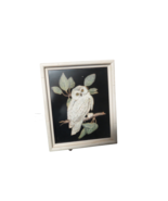 3D Owl Sitting On Branch Handmade White Feathers In Framed Shadow Box 11... - £18.44 GBP