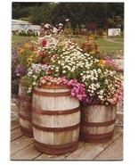 ACEO ATC Art Card Original Photograph Wood Barrel Daisies Pansy Flowers - £2.88 GBP