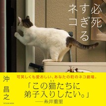 Photo collection Cat desperately desperate &quot;Hisshisugiru-neko&quot; Tatsumi Mook - $18.89