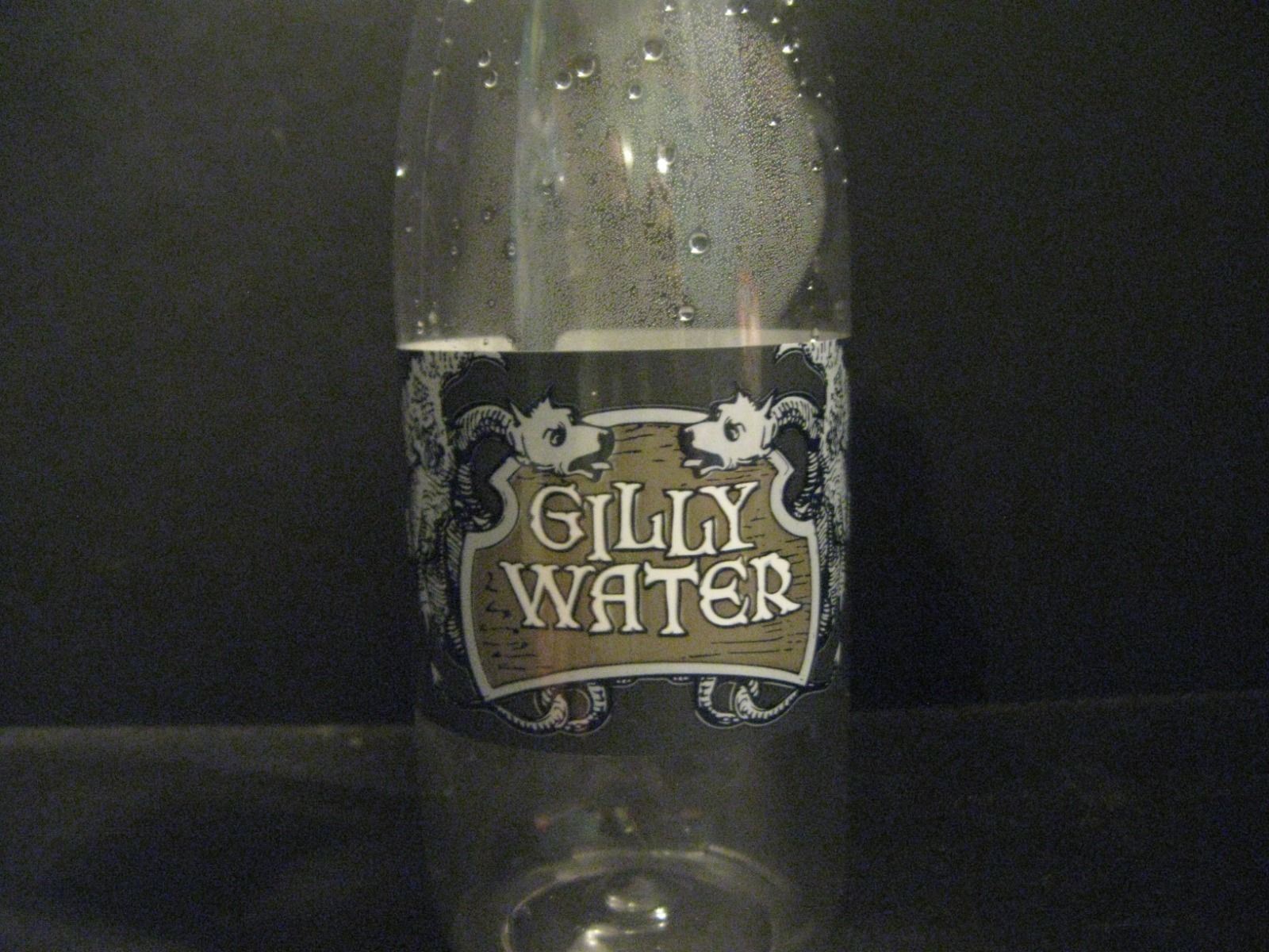Gilly Water Bottle Diagon Alley Harry Potter Wizarding World Universal Studios 