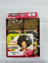 Eve Hair 100% Remy Human Hair Afro Kinky Bulk 16" #27 Maley Braid Twist - $32.99