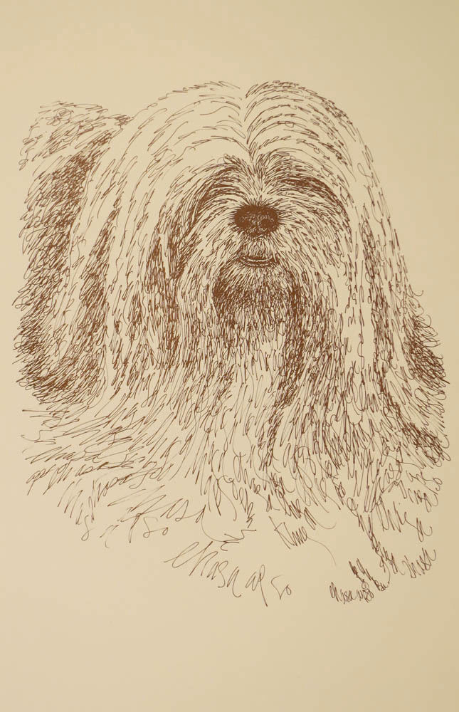 Lhasa Apso Dog Art Print #236 WORD DRAWING Kline will add your dogs name free.