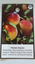FRANK PEACH 4'-6' Tree Live Plant Sweet Juicy Peaches Fruit Trees Plants Orchard - $140.60