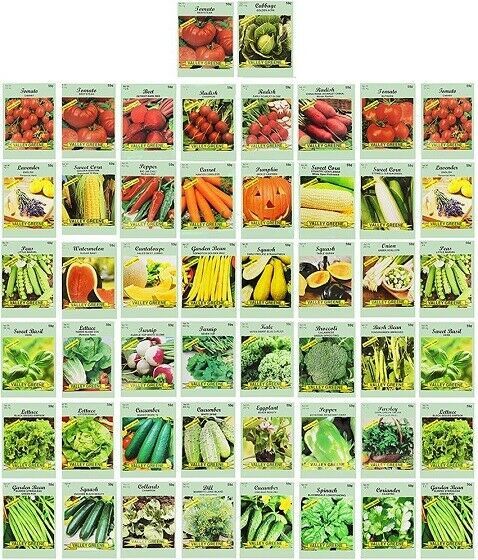 50 Packs Assorted Heirloom Vegetable Seeds with 20+ Varieties Grown 100% Non-GMO