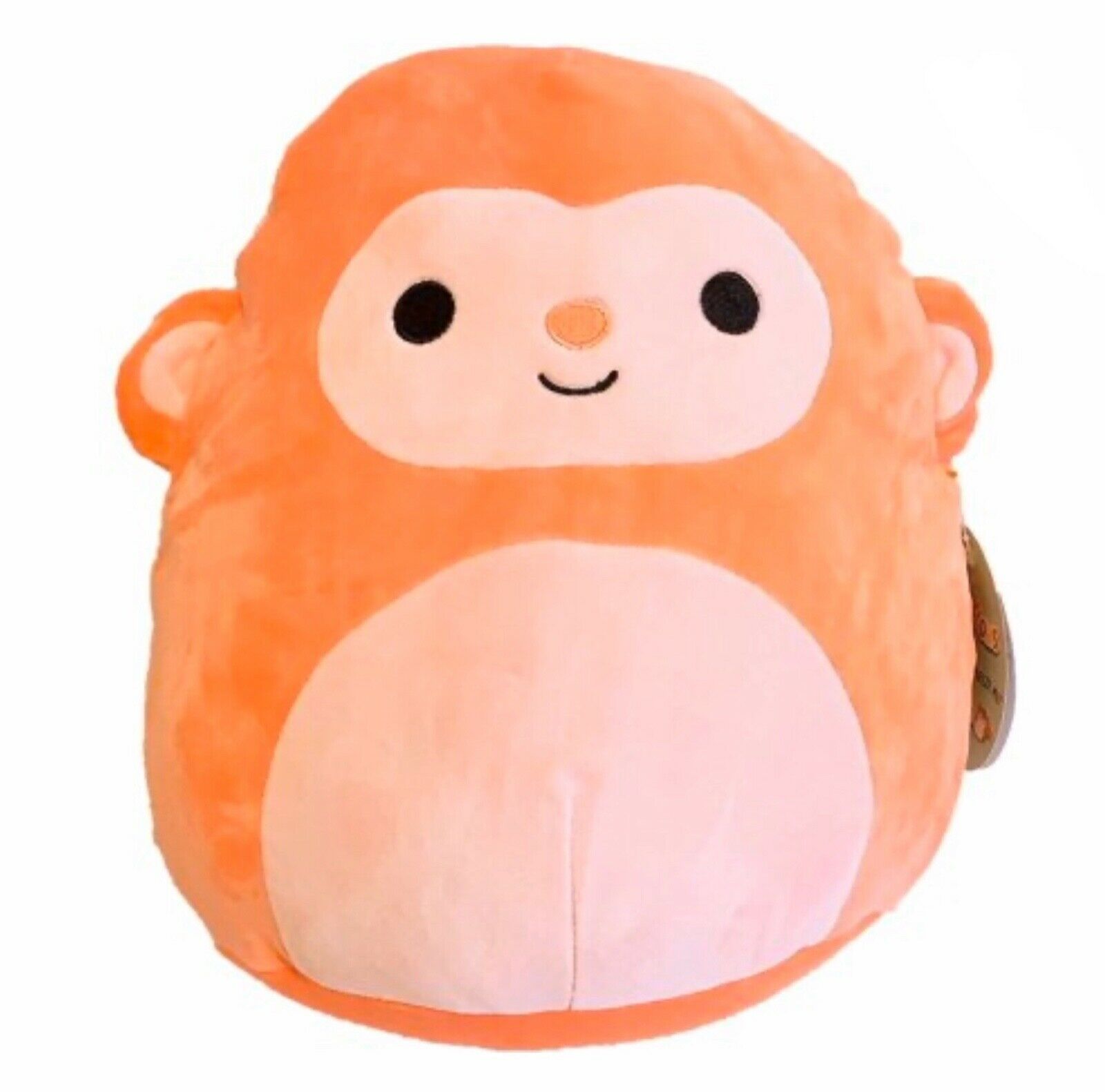 squishmallow teddy