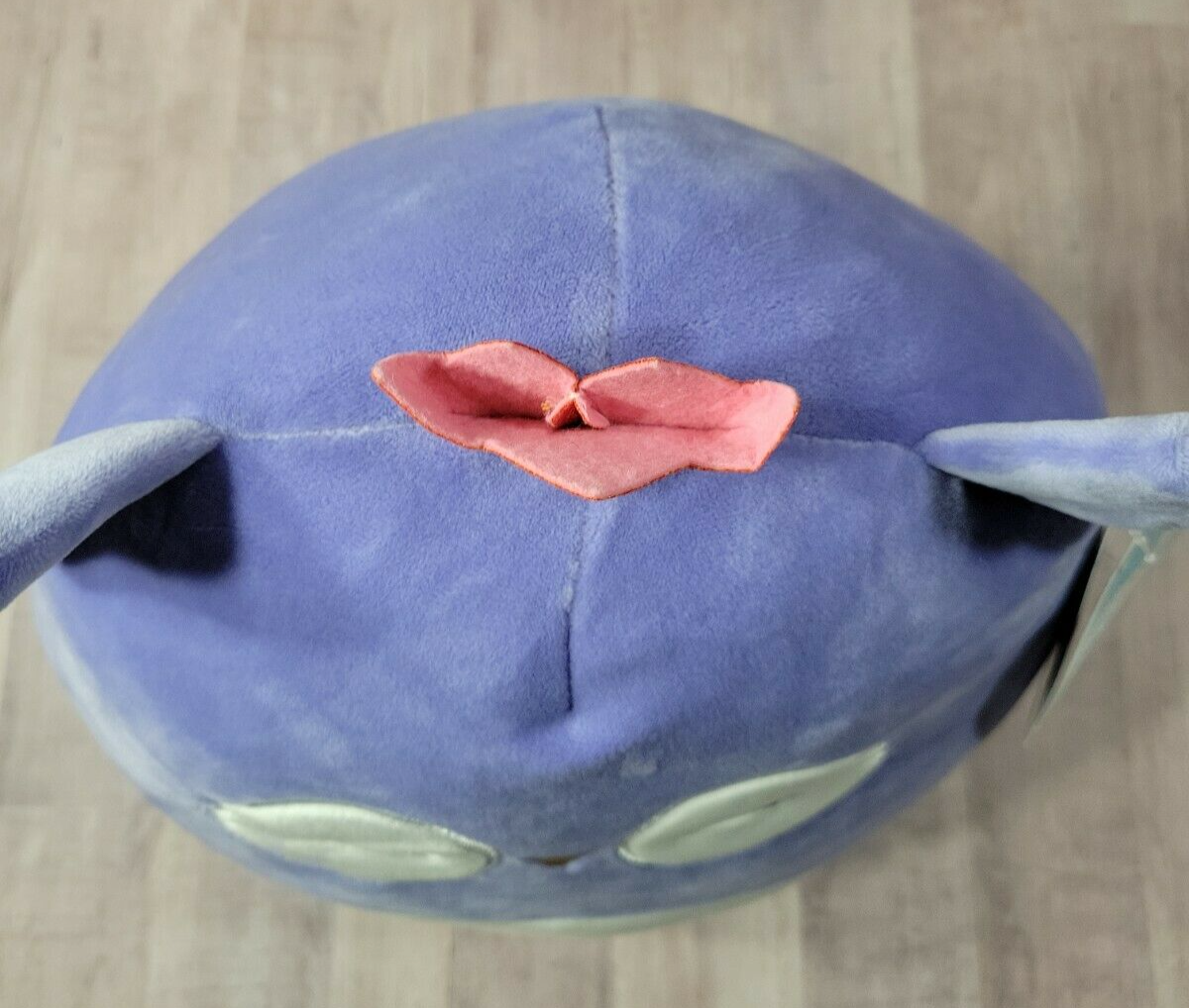 squishmallow fania