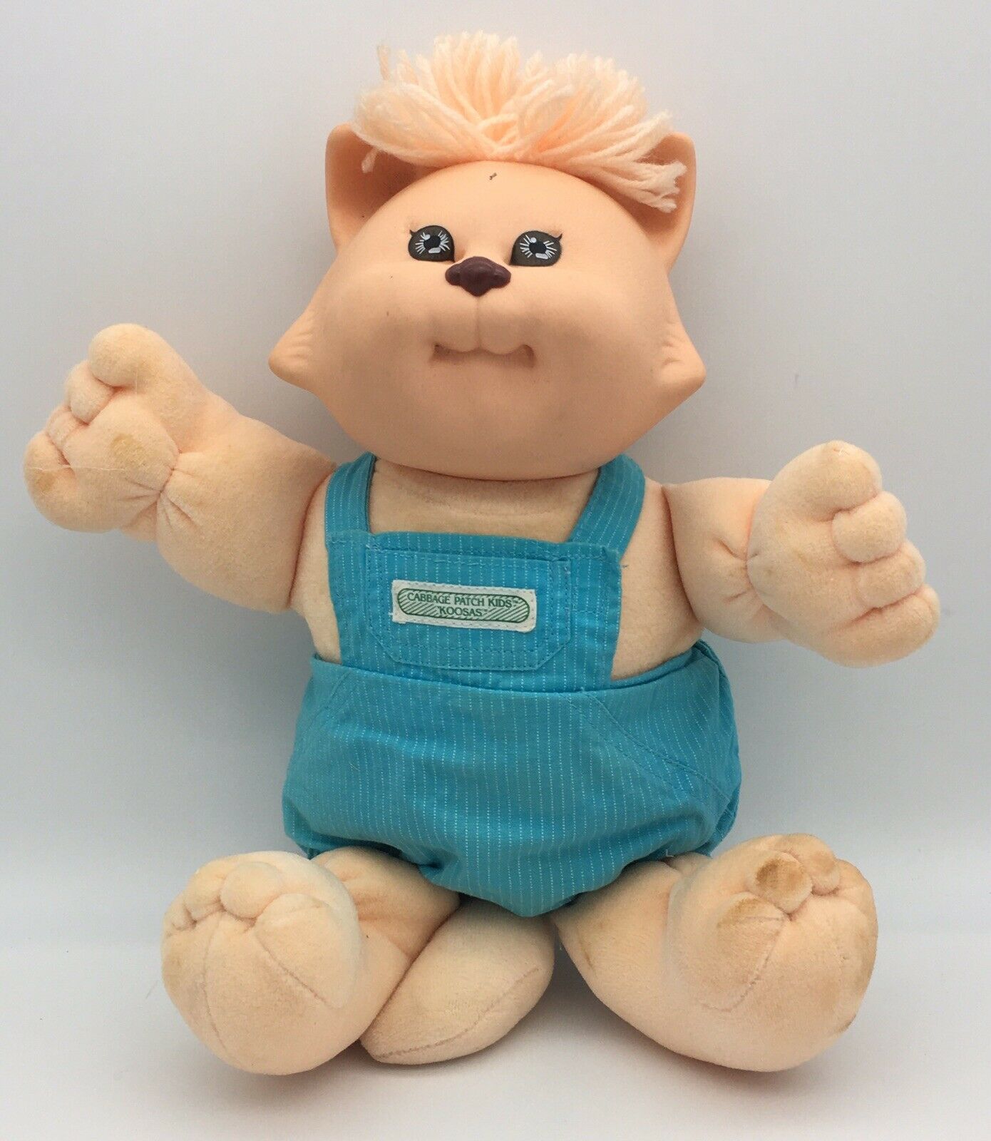 cabbage patch cat
