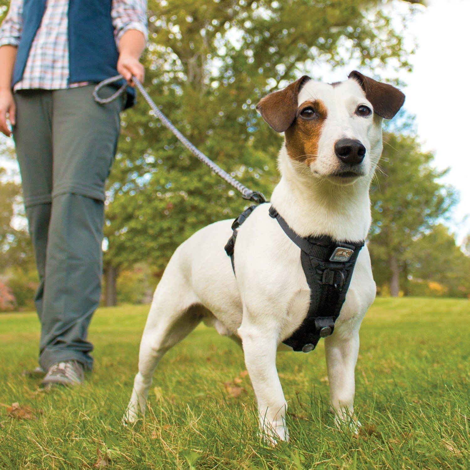 Easy Walk Harness for Dogs Nopull Collar and 50 similar items