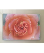 “Triple Swirl” photo 11x16 thinwrap - $95.00
