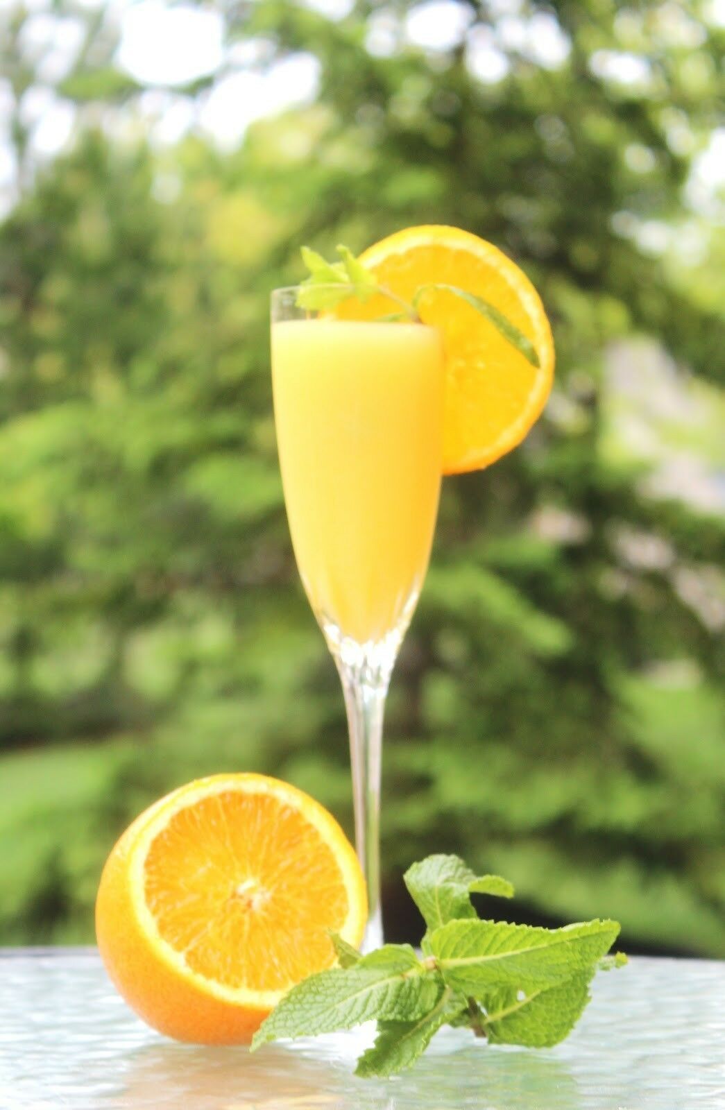 ORANGE MINT * 1000 SEEDS * RARE * HERB * MEDICINAL * AROMA * Plants