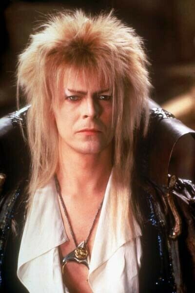 David Bowie stunning portrait as Jareth 1986 movie Labyrinth 8x12 inch photo