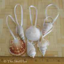 Seashell christmas 90b thumb200