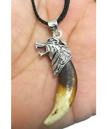 Authentic wolf tooth pendant evil eye protection Witcher Good Luck neckl... - $31.58