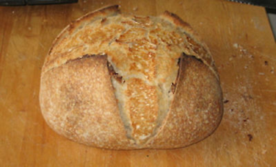SAN FRANCISCO SOURDOUGH bread YEAST TANGY SOUR STARTER flour baking  sally NEW
