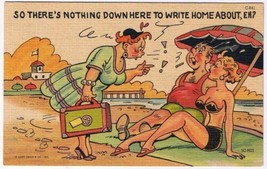 Comic Postcard Curt Teich Nothing Down Here To Write Home About - $2.19